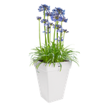 loft urban carré haut 37cm blanc